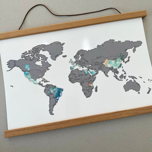 New! 12x18 World Scratch Off Map